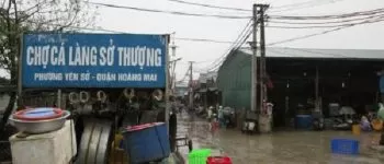 Top 10 các chợ đầu mối ở Hà Nội mà bạn nên biết