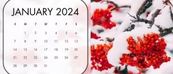 Tháng 1 có bao nhiêu ngày theo lịch dương và lịch âm? Các ngày lễ, sự kiện nổi bật trong tháng 1